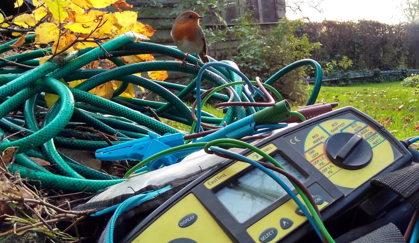 Electrical test meter and leads laid out on a garden job, with a robin watching from the cables